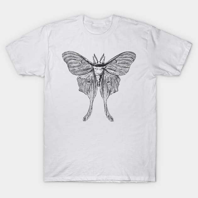 Goodnight Moth T-Shirt by Zia's Tees
